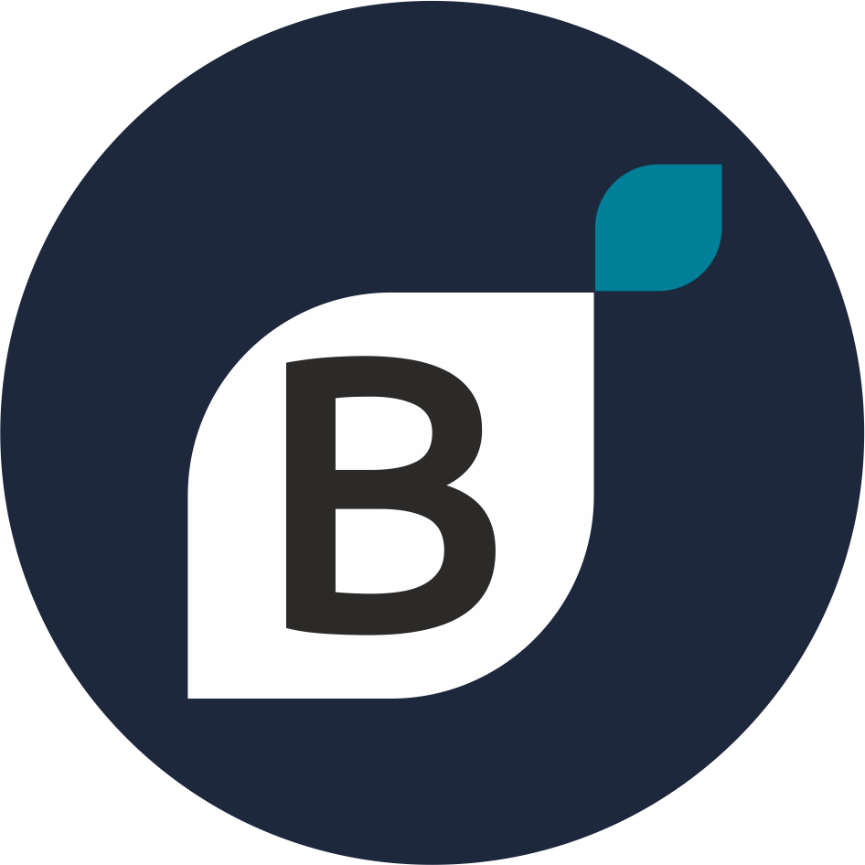 BT_Logo_B_2020.png